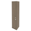 Вяз