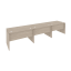 Дуб Аттик