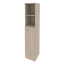 Дуб Аттик